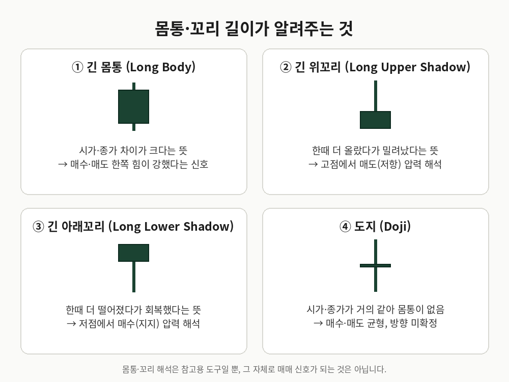 몸통·꼬리 길이로 읽는 힘의 방향, 그리고 도지의 의미